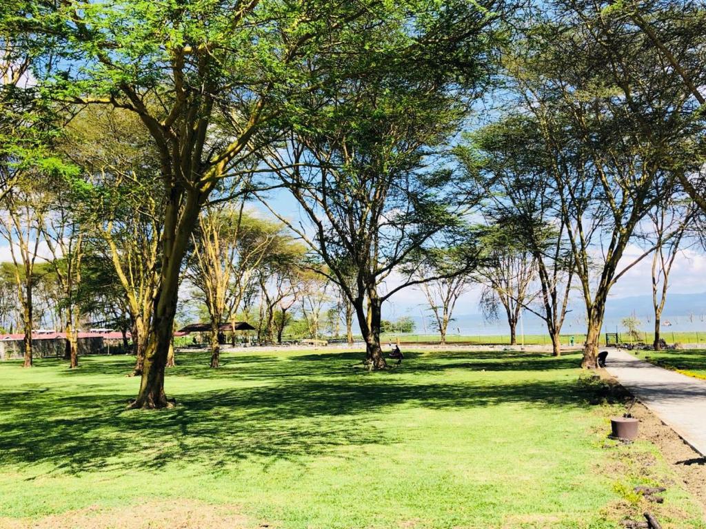 lake-naivasha-resort_17069571243